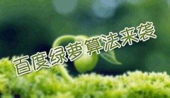 百度绿箩算法